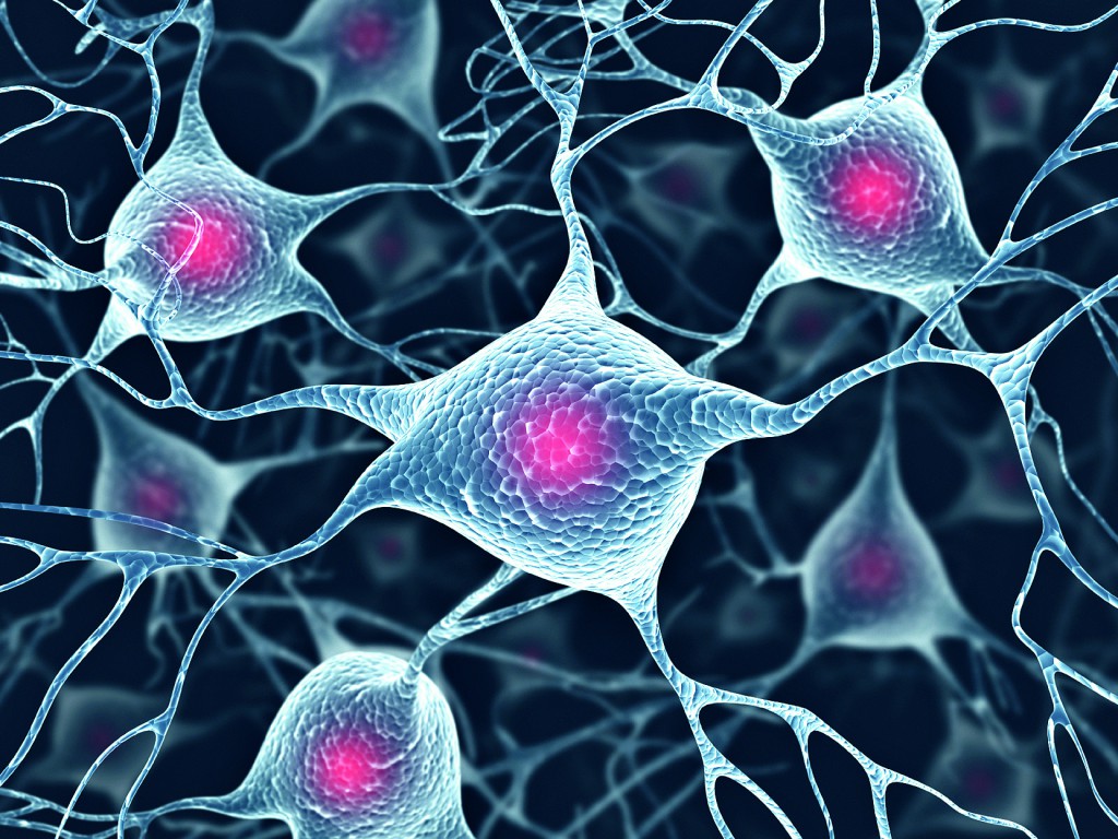 Neuron: studio conferma la correlazione tra i meccanismi biochimici dello stress e il consumo di alcol