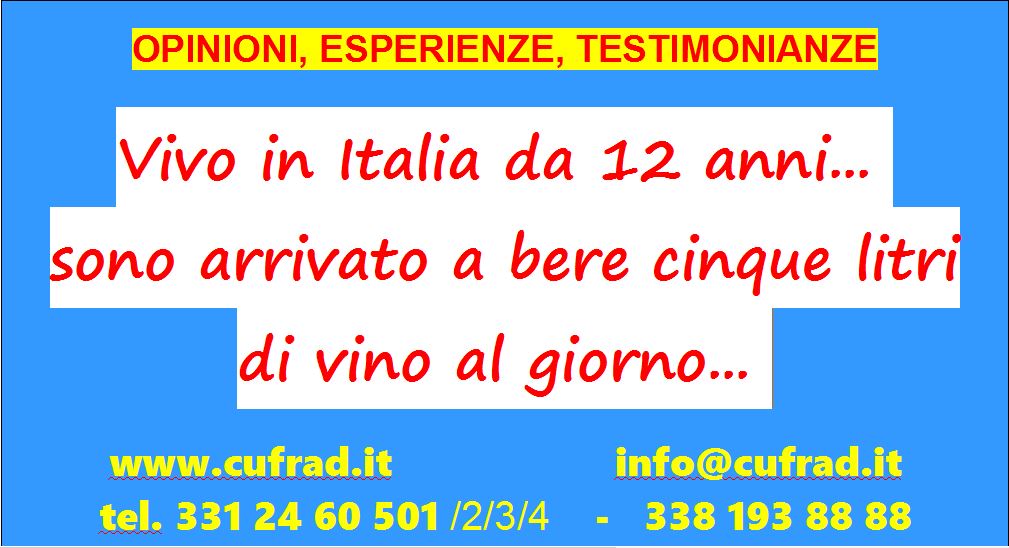 Mi chiamo N., ho 41 anni, vivo in Italia da 12 anni. a Torino ho conosciuto altri ragazzi rumeni che bevevano molto alcol, facevano rapine e truffe... Sono arrivato a bere 5 litri di vino al giorno...