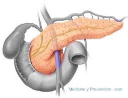 Nuovo approccio al rischio-alcol: “Attenti ai problemi al pancreas”