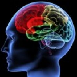 Ansia e depressione, ruolo dei cannabinoidi prodotti dal cervello