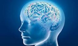Firenze, 53/mo Congresso Mondiale dei Tossicologi Forensi (TIAF): conoscere il cervello per prevenire i rischi dell'addiction