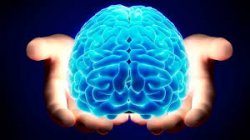 Center for Brain Health: effetti della marijuana sul cervello
