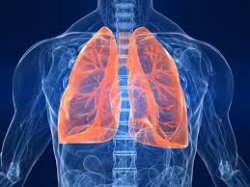 European Respiratory Society: tumore al polmone, nuove differenze fra fumatori e non 