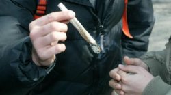 Palermo: consumatori di cannabis giovanissimi, in calo l'uso delle droghe sintetiche