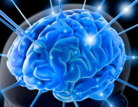 Adolescenti con disturbi della condotta: studio conferma la presenza di differenze anatomiche a livello cerebrale
