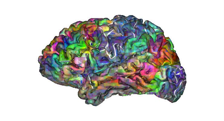 Oregon State University: la neuroimaging per identificare gli adolescenti a rischio dipendenza