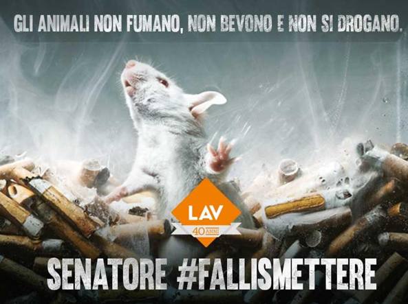 Test sugli animali per droga, alcol e fumo: «sì» bipartisan alla proroga di 3 anni degli esperimenti