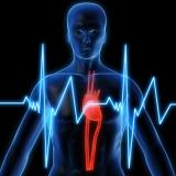 American Society of Hypertension: il consumo di alcol negli ipertesi può causare danni al cuore