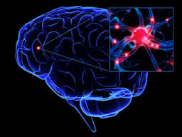 Alcolismo e sistemi neurotrasmettitoriali