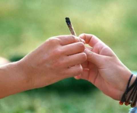 Cannabis: la consuma il 26,7% degli adolescenti italiani
