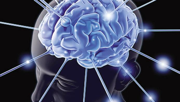PNAS: identificati circuiti cerebrali correlati alla capacità di affrontare lo stress