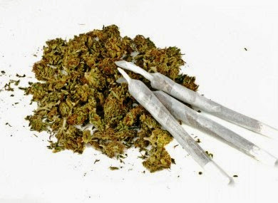 Cannabis: un italiano su 10 la usa