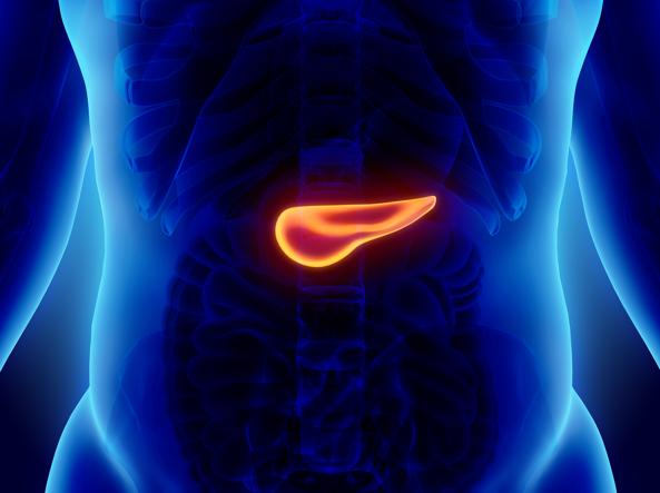 Tumori del pancreas, in 15 anni aumentati del 59%: fumo e alcol all'origine di molti casi