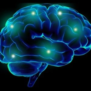 Columbia University: nel cervello la centralina di controllo dell'ansia