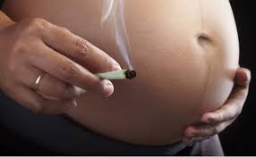 The Journal of the American Medical Association: aumento di uso di marijuana fra le donne in stato di gravidanza