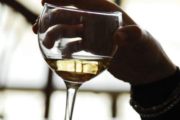Nutrizione e sclerosi multipla: alcol tra gli alimenti a rischio