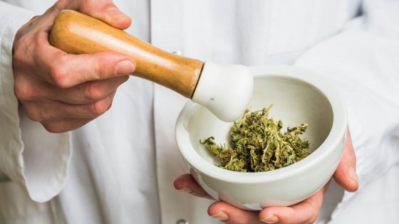 Neuropsychopharmacology: il cannabidiolo per disintossicarsi da alcol e cocaina?