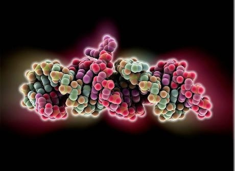 PNAS: scoperto un retrovirus endogeno che favorisce la tossicodipendenza