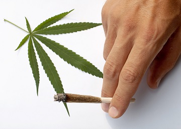 Cannabis: luoghi comuni e nuovi rischi
