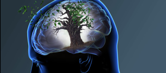 Yale University: la depressione aumenta l'invecchiamento del cervello