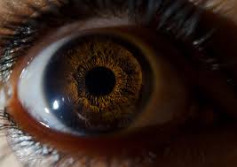 British Journal of Ophthalmology: effetti dell'alcol sulla vista