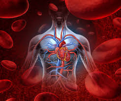 American Heart Association: consumo eccessivo di alcol e danni all'apparato cardiovascolare