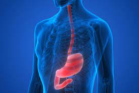 Fumo, alcol, obesità e reflusso gastroesofageo fanno salire il rischio di ammalarsi di tumore all'esofago