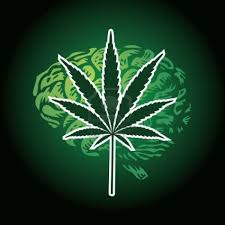 JAMA Psychiatry: uso di cannabis e cambiamenti nel cervello degli adolescenti