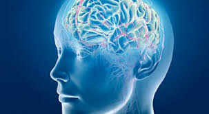 Jama Psychiatry: studio sui danni dell'alcol al cervello