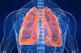 Che effetto ha il fumo sui polmoni?