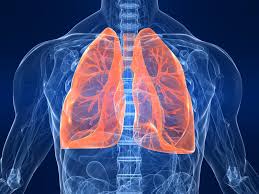 Il tumore al polmone: 40 mila nuovi casi all'anno