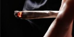 Cannabis, Ansia Sociale e Disturbo Ossessivo Compulsivo della Personalità